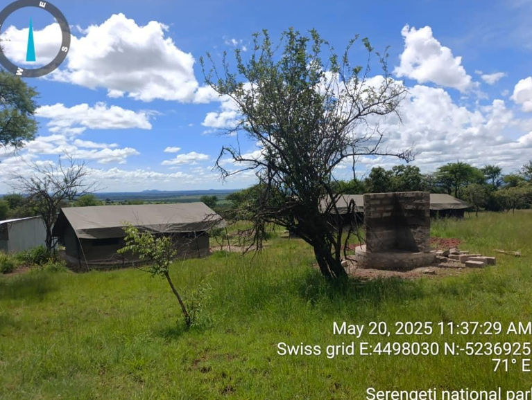 Serengeti Tented Camp, photo 2 of 2